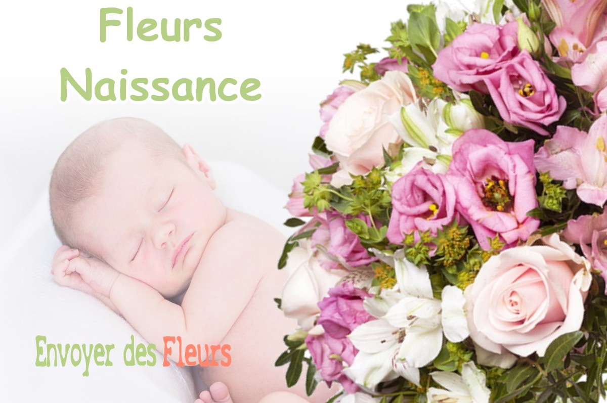 lIVRAISON FLEURS NAISSANCE à MANEGLISE